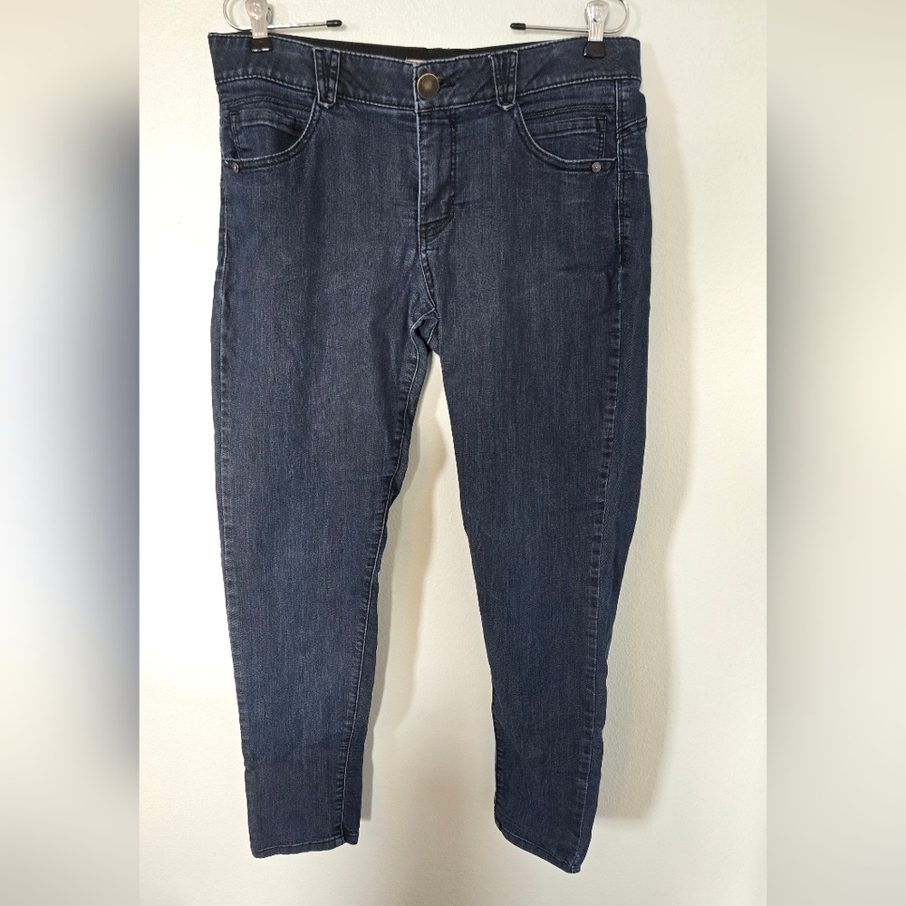Democracy | Dark Wash Mid Rise Skinnies Size 12